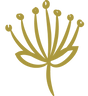 Lovera Collections SG logo