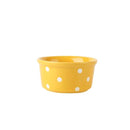 *$4 CLEARANCE SALE* Retro Polka Dots Ramekin
