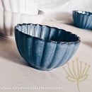 *50% CLEARANCE SALE* Rustic Seashell Dinnerware Collection