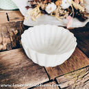 *50% CLEARANCE SALE* Rustic Seashell Dinnerware Collection