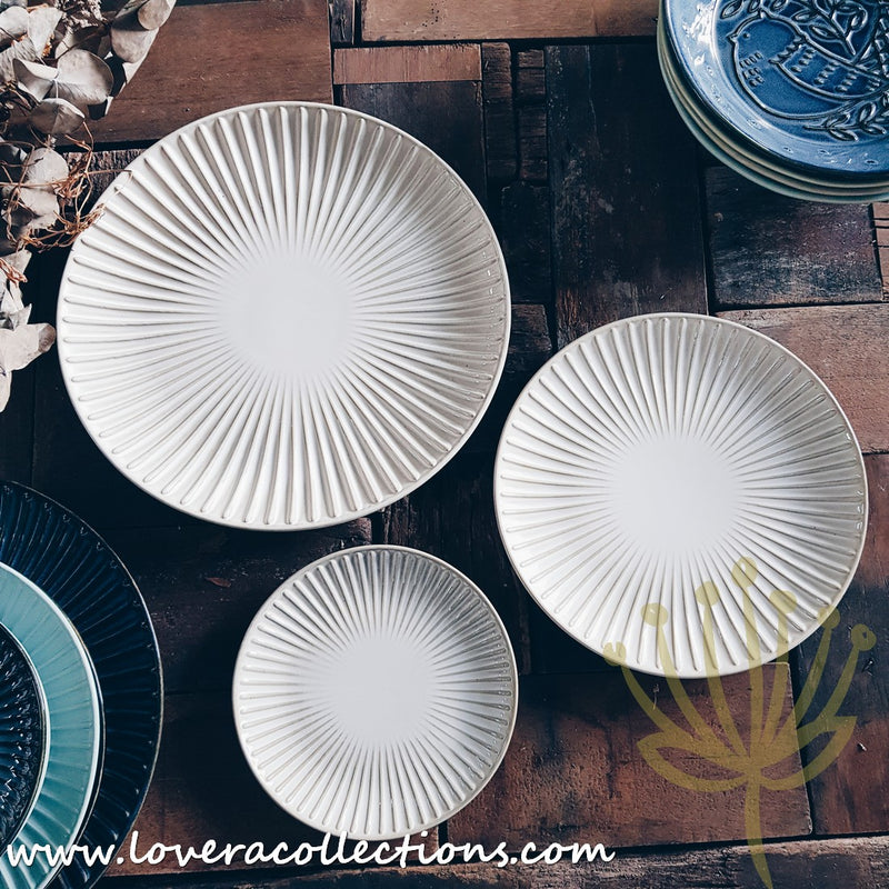 Eden Shell Assorted Colors Dinner Plates - Lovera Collections