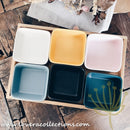 Kalours Assorted Colors Square Condiments Dishes & Wooden Trays - Lovera Collections