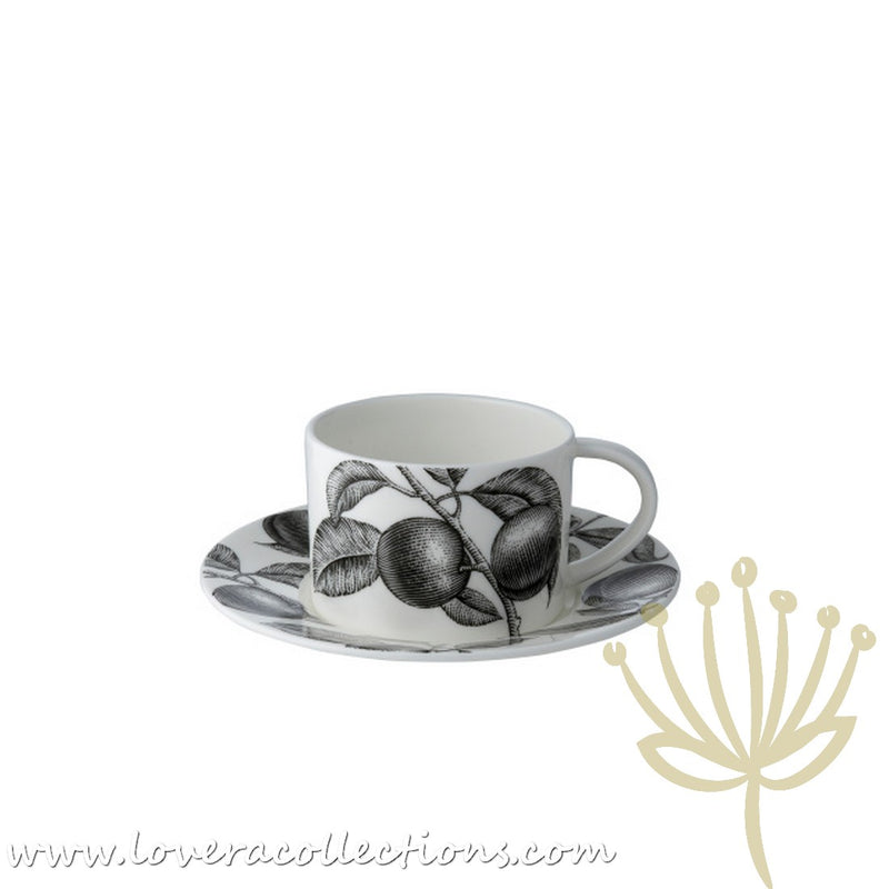 Twig New York Olive Market Cup and Saucer