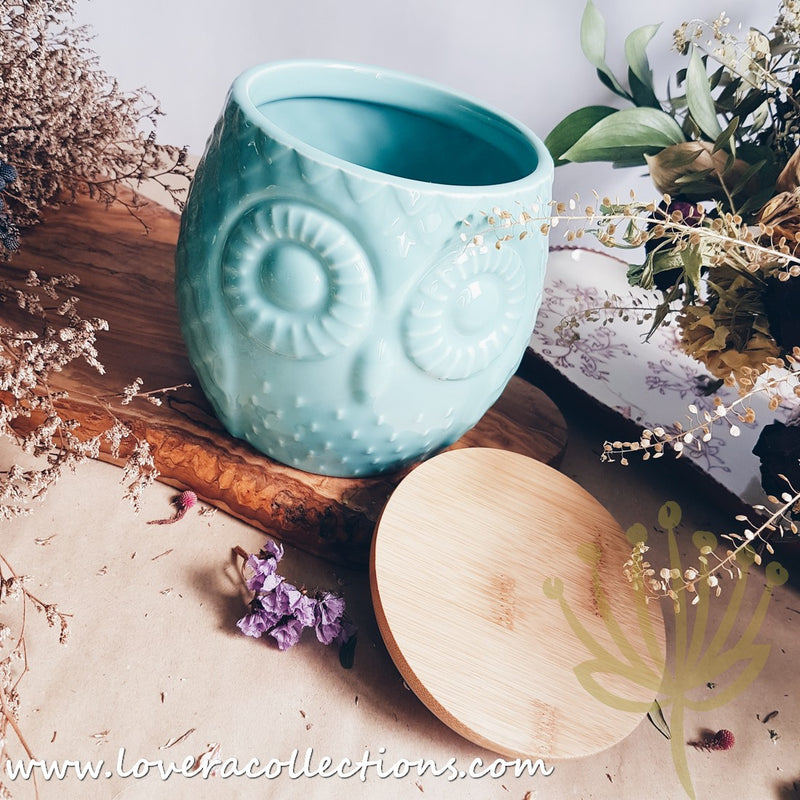 *LAST PRICE CLEARANCE PROMO* Owl Canisters - Lovera Collections